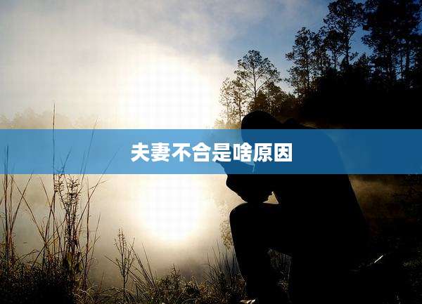 夫妻不合是啥原因