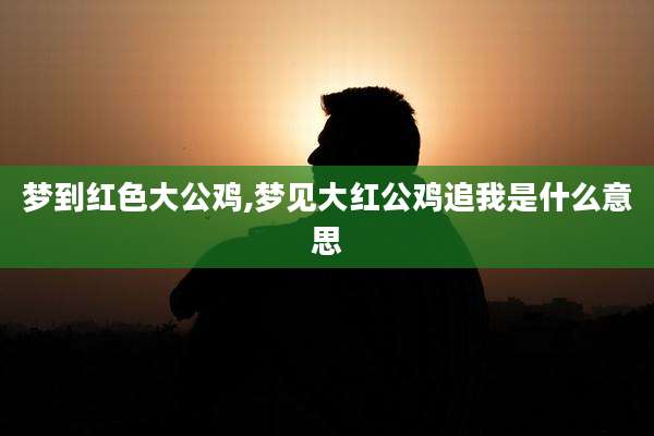 梦到红色大公鸡,梦见大红公鸡追我是什么意思