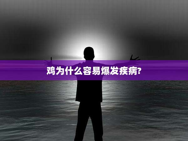 鸡为什么容易爆发疾病?
