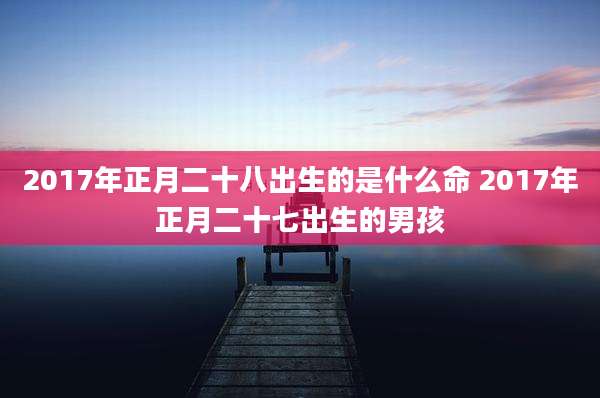 2017年正月二十八出生的是什么命 2017年正月二十七出生的男孩
