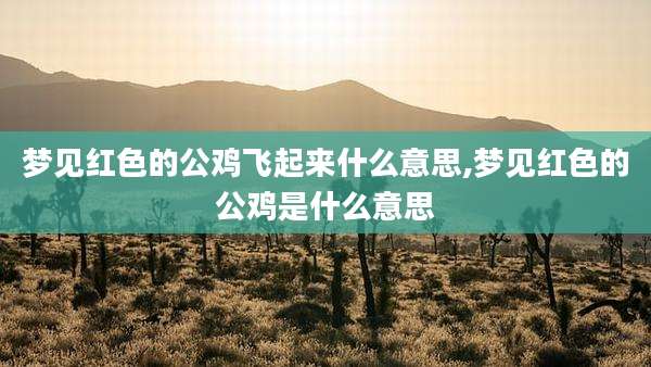 梦见红色的公鸡飞起来什么意思,梦见红色的公鸡是什么意思