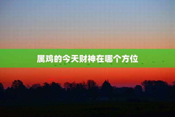 属鸡的今天财神在哪个方位