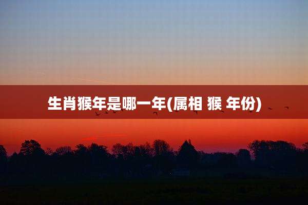 生肖猴年是哪一年(属相 猴 年份)