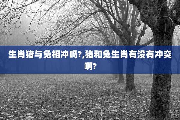 生肖猪与兔相冲吗?,猪和兔生肖有没有冲突啊?