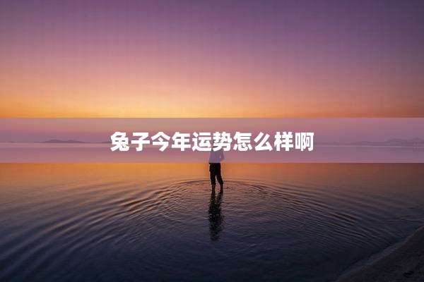 兔子今年运势怎么样啊