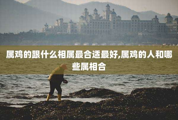 属鸡的跟什么相属最合适最好,属鸡的人和哪些属相合