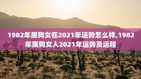 1982年属狗女在2021年运势怎么样,1982年属狗女人2021年运势及运程