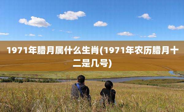 1971年腊月属什么生肖(1971年农历腊月十二是几号)
