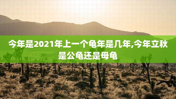 今年是2021年上一个龟年是几年,今年立秋是公龟还是母龟