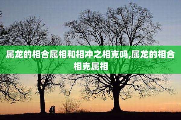 属龙的相合属相和相冲之相克吗,属龙的相合相克属相