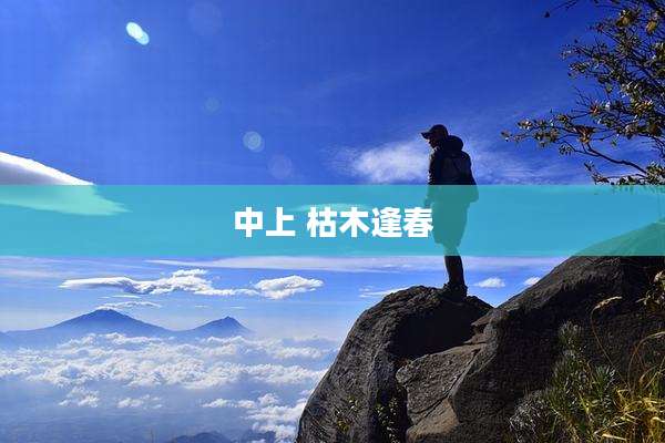 中上 枯木逢春