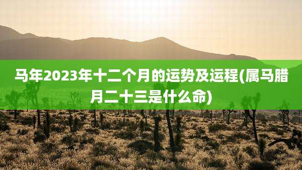 马年2023年十二个月的运势及运程(属马腊月二十三是什么命)