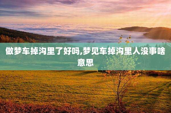 做梦车掉沟里了好吗,梦见车掉沟里人没事啥意思