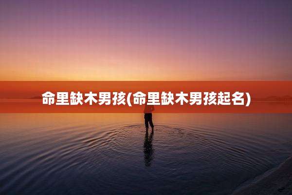 命里缺木男孩(命里缺木男孩起名)