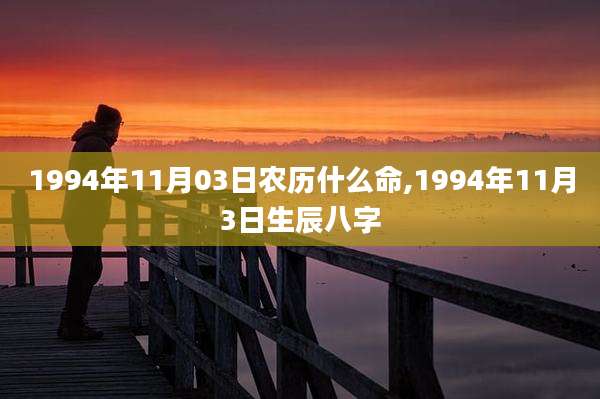 1994年11月03日农历什么命,1994年11月3日生辰八字