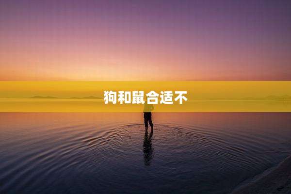 狗和鼠合适不