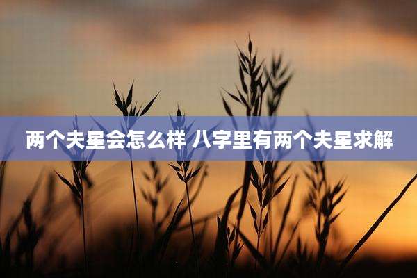 两个夫星会怎么样 八字里有两个夫星求解