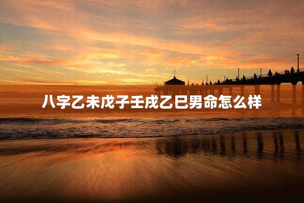 八字乙未戊子壬戌乙巳男命怎么样