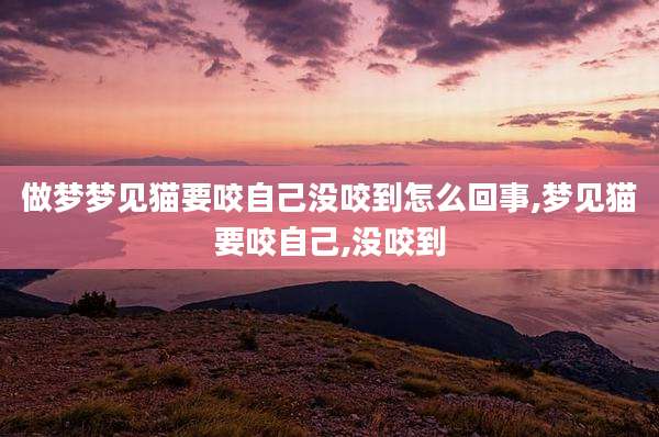 做梦梦见猫要咬自己没咬到怎么回事,梦见猫要咬自己,没咬到