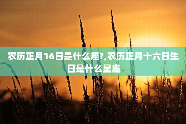 农历正月16日是什么座?,农历正月十六日生日是什么星座