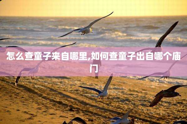 怎么查童子来自哪里,如何查童子出自哪个庙门