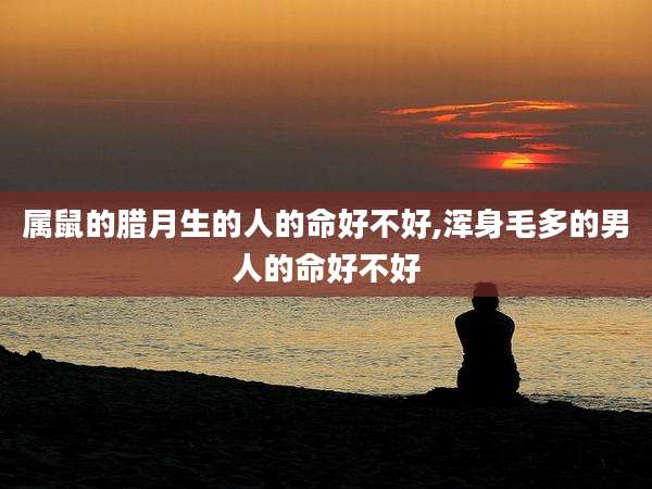 属鼠的腊月生的人的命好不好,浑身毛多的男人的命好不好