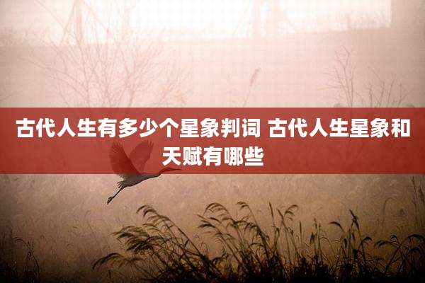 古代人生有多少个星象判词 古代人生星象和天赋有哪些