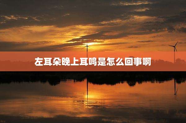 左耳朵晚上耳鸣是怎么回事啊