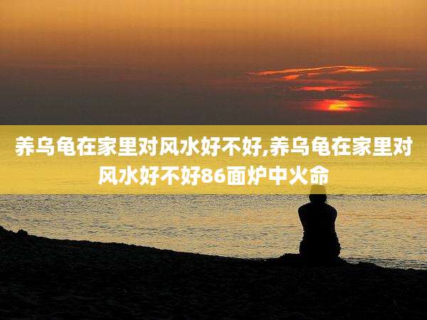 养乌龟在家里对风水好不好,养乌龟在家里对风水好不好86面炉中火命