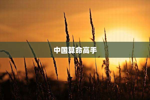 中国算命高手