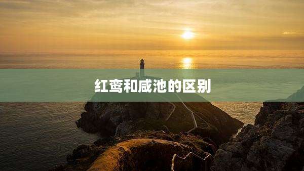 红鸾和咸池的区别