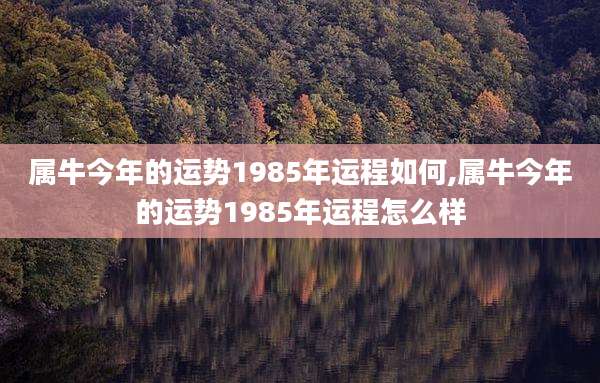 属牛今年的运势1985年运程如何,属牛今年的运势1985年运程怎么样