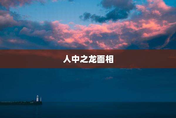 人中之龙面相