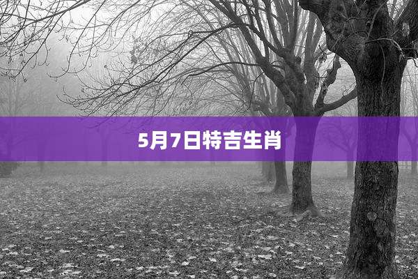 5月7日特吉生肖