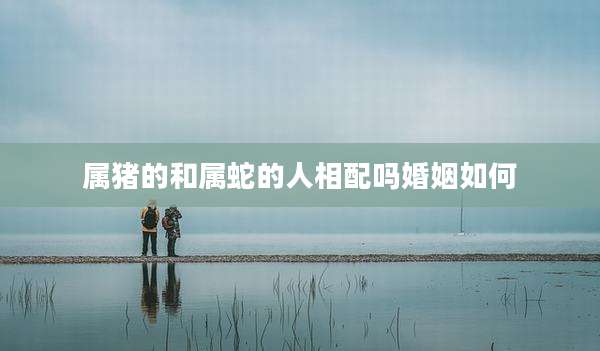 属猪的和属蛇的人相配吗婚姻如何