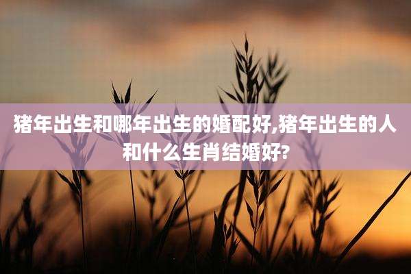 猪年出生和哪年出生的婚配好,猪年出生的人和什么生肖结婚好?