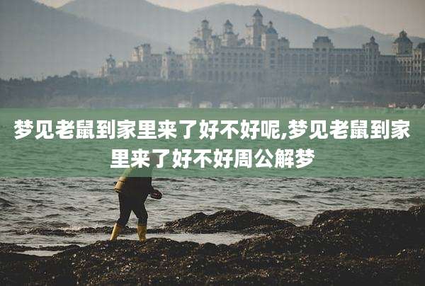 梦见老鼠到家里来了好不好呢,梦见老鼠到家里来了好不好周公解梦