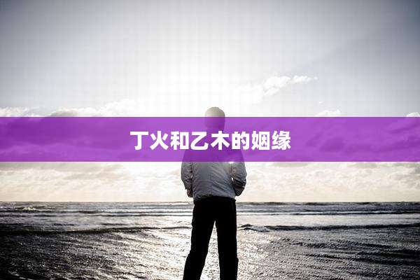 丁火和乙木的姻缘