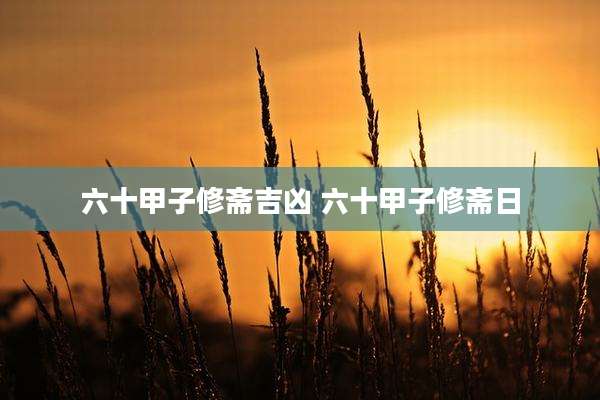 六十甲子修斋吉凶 六十甲子修斋日