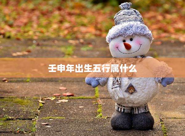 壬申年出生五行属什么