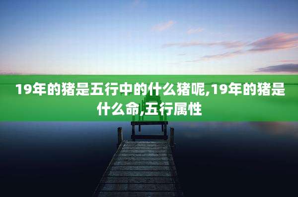 19年的猪是五行中的什么猪呢,19年的猪是什么命,五行属性