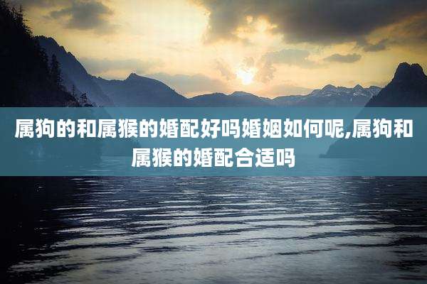 属狗的和属猴的婚配好吗婚姻如何呢,属狗和属猴的婚配合适吗