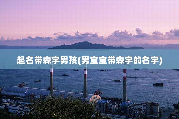 起名带森字男孩(男宝宝带森字的名字)