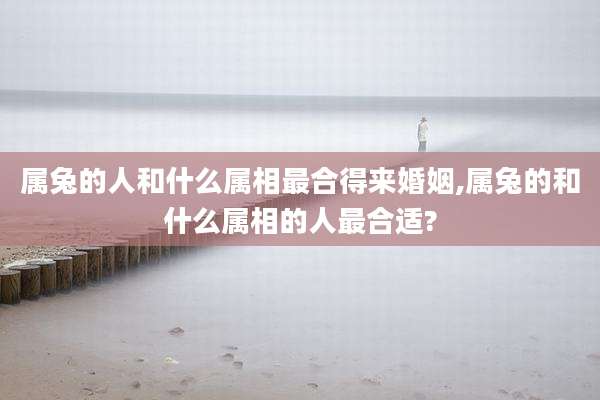 属兔的人和什么属相最合得来婚姻,属兔的和什么属相的人最合适?