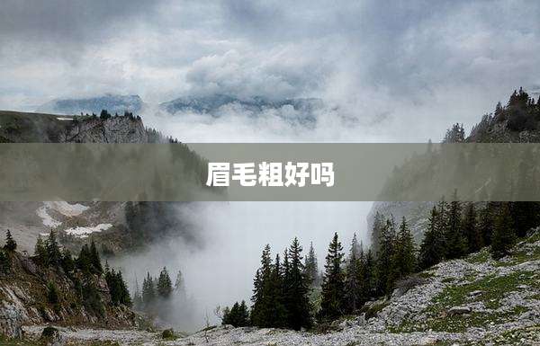 眉毛粗好吗