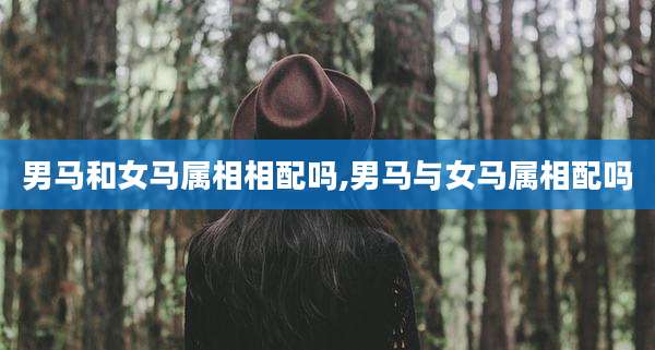 男马和女马属相相配吗,男马与女马属相配吗