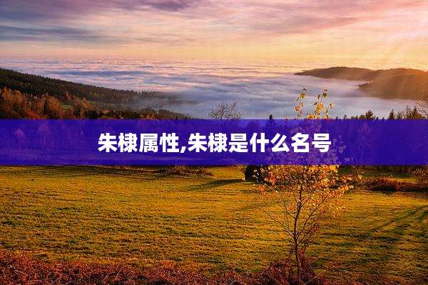朱棣属性,朱棣是什么名号