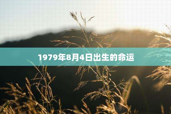 1979年8月4日出生的命运
