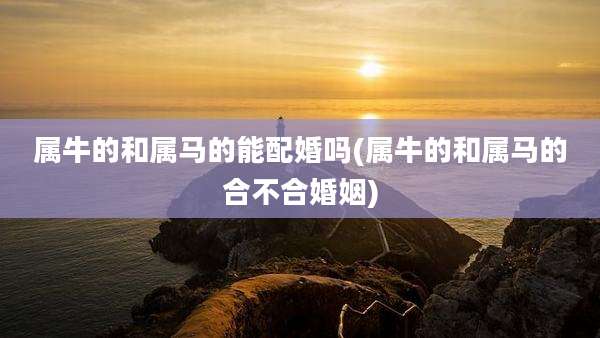 属牛的和属马的能配婚吗(属牛的和属马的合不合婚姻)