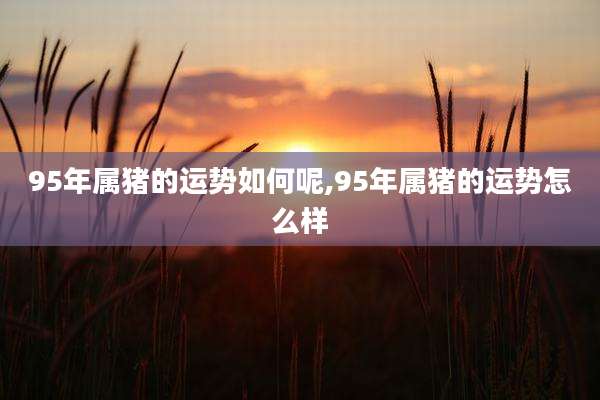 95年属猪的运势如何呢,95年属猪的运势怎么样